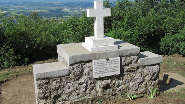 KOSTURNICA SIVA STENA